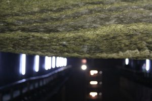 img_0931