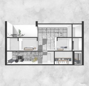 sectiune _ casa IN V1
