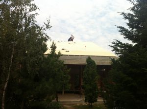 08 _ casa Snagov